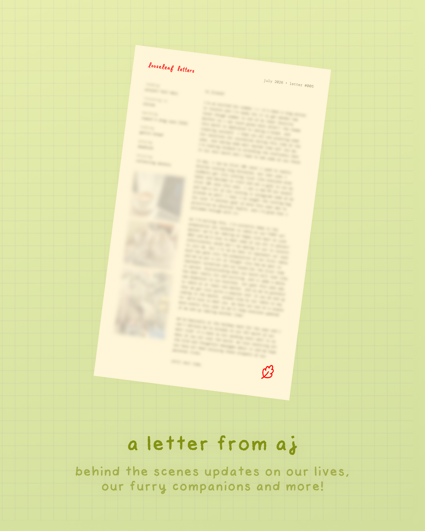 looseleaf letters mail club 💌