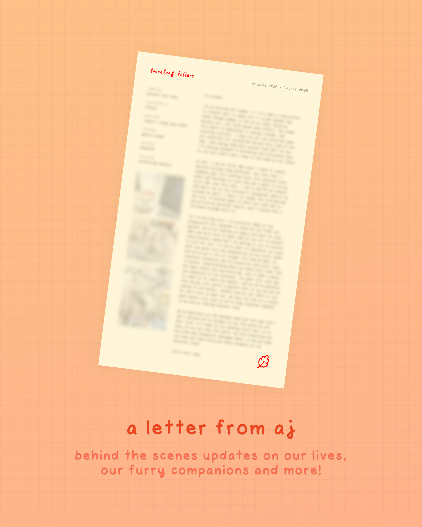 looseleaf letters mail club 💌