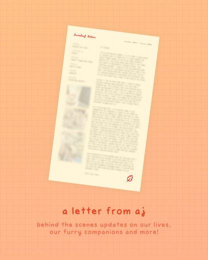 looseleaf letters mail club 💌