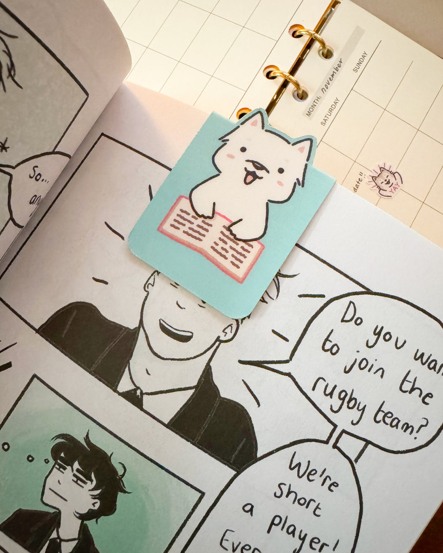 trio reading magnetic bookmarks